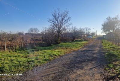 Spațiu comercial, în Central - 3