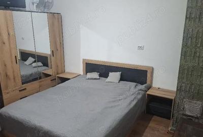 Casă cu 2 camere cu Teren 70 Mp în Dacia - 2