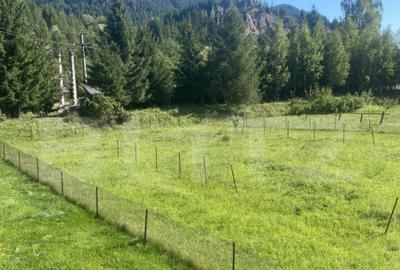 Casă cu 5 camere cu Teren 1755 Mp în Central - 4