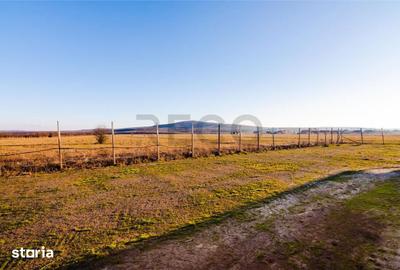 Casă cu 3 camere cu Teren 500 Mp în Sânmartin - 3