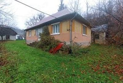 Casă cu 2 camere în Luminișu - 8