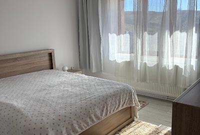 Casă individuală cu 5 camere cu Teren 6400 Mp în Aroneanu - 4