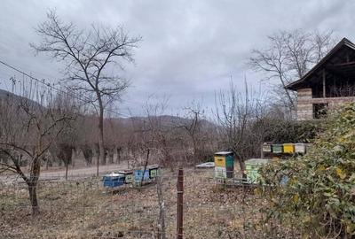 Vand constructie in zona montana ,Corbi ,jud Ag.Facilitati,apa curent ,gaze naturale ,asfalt la poar - 1