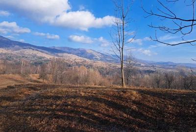 Spațiu comercial, în Talea - 5
