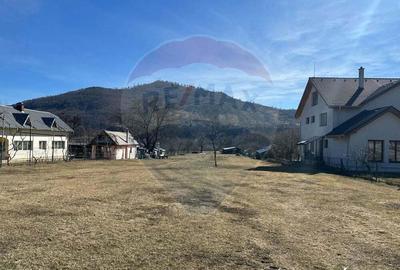 Teren de 3606 mp, în Pângărați - 5