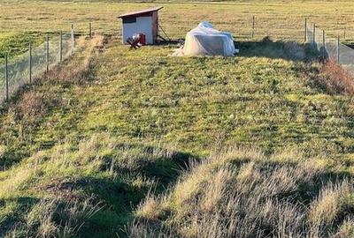 RECO Casa Osorhei zona deosebita - 6