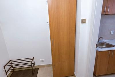 Apartament cu 2 camere semidecomandat, mobilat în Universitate - 13