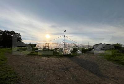 Teren par?ial intravilan 23.500 mp, apa, curent ?i suprav Teren par?ial intravilan 23.500 mp, apa, curent ?i suprav - 11