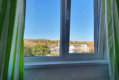 Garsonieră semidecomandată în Roșu - 1