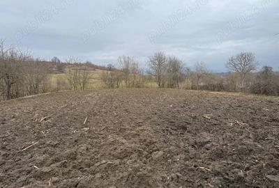 Casă cu 4 camere în Cireșu - 1