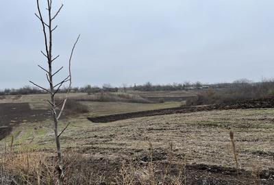 Casă cu 4 camere în Păuleasca - 2