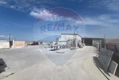 Spațiu industrial, de 640 mp, în Jorăști - 5