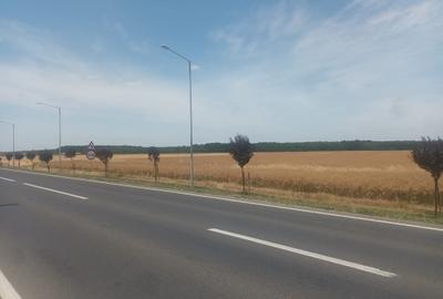 Teren Vanzare Intravilan Branesti - Investitie Zona Industriala Vis a Vis Makita - 19