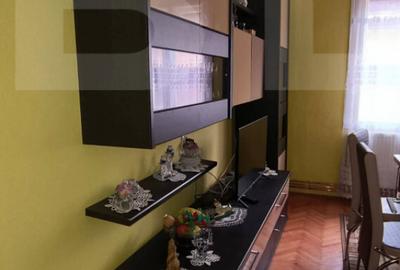 Vand casa la Nadrag zona linistita foarte aproape de centru - 4