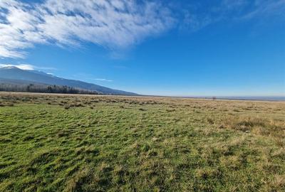 Teren de vanzare in satul de vacanta Dejani - 13