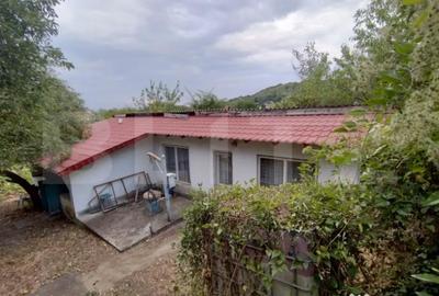 Casă cu 3 camere cu Teren 1167 Mp în Leamna de Jos - 3