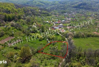 Teren de 2253 mp, în Cepari - 4
