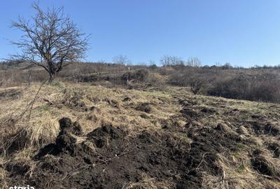 Teren de 597 mp, în Iris