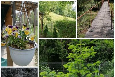 Vand casa de vacanta in Prahova Vand casa de vacanta in Prahova - 7