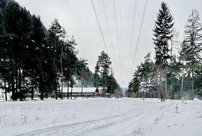 Teren intravilan - Sacele - Brasov - 6