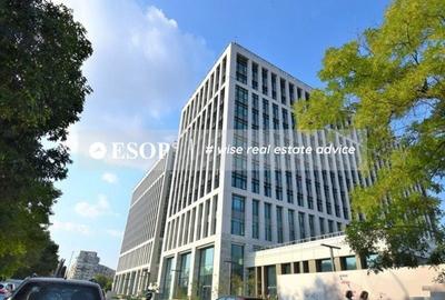 Spațiu comercial, de 800 mp, în Timpuri Noi - 7