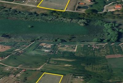 Teren 8000mp Daia noua - 5