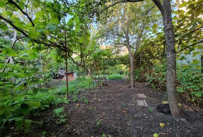 Casă cu 4 camere cu Teren 509 Mp în Rădăuți - 8