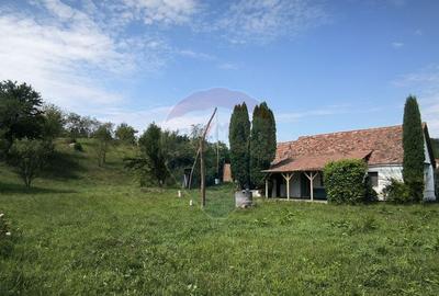 Casa de vacan?a in sat sasesc, Moarda? jude?u... - 11