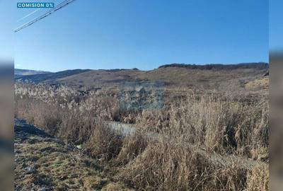 Teren Construcții intravilan de 5800 mp, în Aeroport - 1