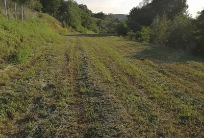 Casă cu 2 camere cu Teren 5400 Mp în Valea Lungă - 4