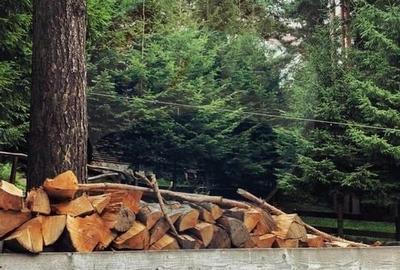 DE VANZARE Pensiune | 12 camere | Bisoca / Buzau - 3