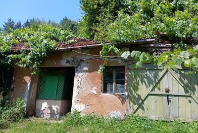 Casă cu 4 camere în Mâsca - 3