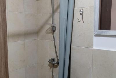 7 Noiembrie - Inchiriere apartament 1 camera - B-dul 22 Decembrie 1989 - 11