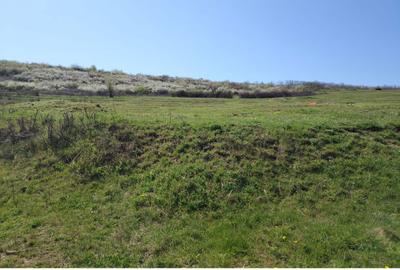 Spațiu comercial, în Aroneanu - 2