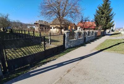 Spațiu comercial, în Lăzărești (Schitu Golești) - 6