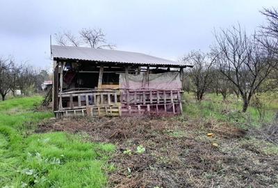 BARCANESTI - casa +curte+teren 16k mp - 8