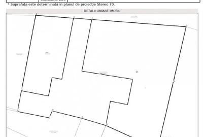 Casă cu 4 camere cu Teren 225 Mp în Ultracentral