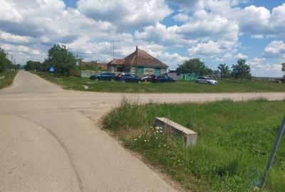 Casă cu 2 camere în Alioș - 6