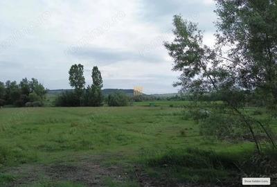 Teren de 3953 mp, în Fălticeni - 10