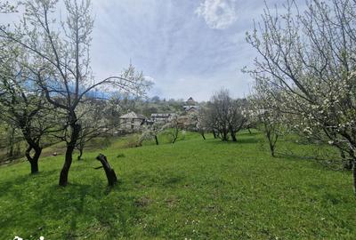 Teren de 3500 mp, în Ghioșești - 13