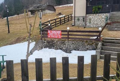 Teren de 3600 mp, în Dâmbovicioara