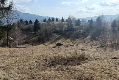 Teren de 3200 mp, în Dâmbovicioara - 1