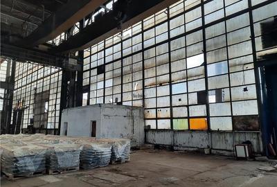 Spatiu Industrial - 10000 mp - Productie - Industrie Grea - 15