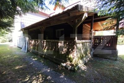 Cabana 4 camere Lunca Bradului - 4