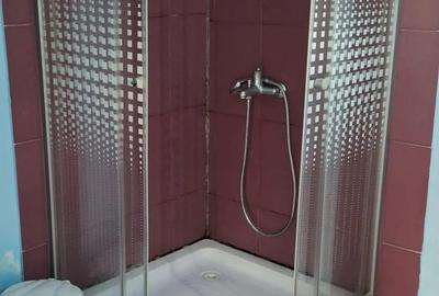 Inchirez camera cu bucatarie inclusa disponibil cu baie - 2