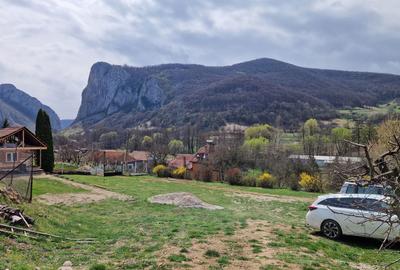 Teren de 1000 mp, în Vălișoara - 4