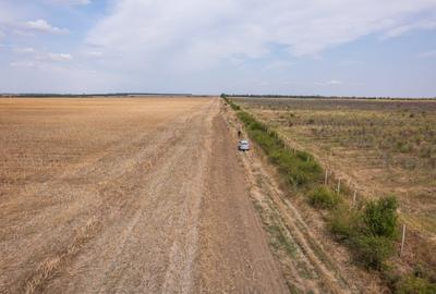 FRUMUSANI - PASAREA, TEREN 14420 MP, FRONT 40 M! - 7