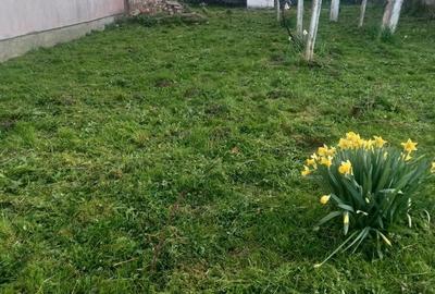 Casă cu 2 camere în Câlnic - 4