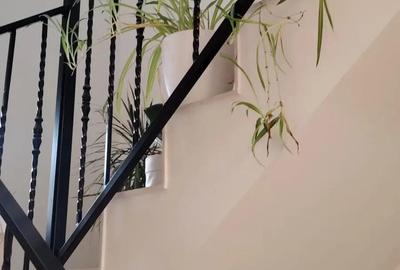 Sacalaz - casa de vanzare - 3