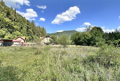 Teren Construcții intravilan de 4000 mp, în Brădet - 17